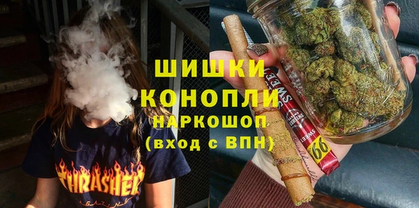 apvp Каменка