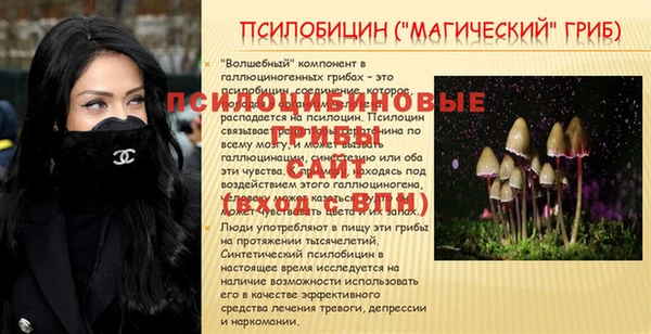 MDMA Каменногорск