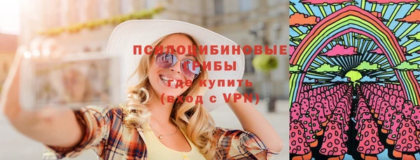 apvp Каменка
