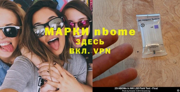 apvp Каменка