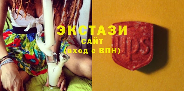 apvp Каменка