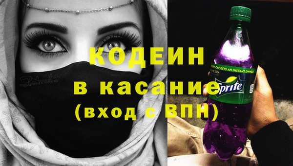apvp Каменка