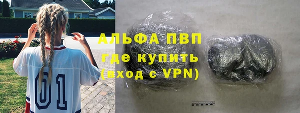 apvp Каменка