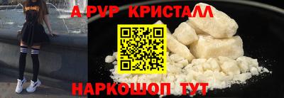 стаф Шелехов