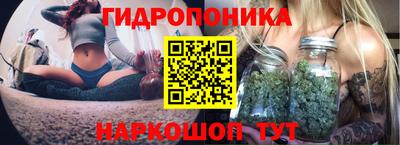стаф Шелехов