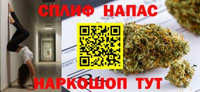 стаф Шелехов