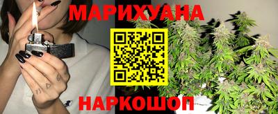 стаф Шелехов