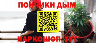 стаф Шелехов