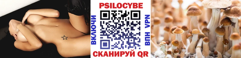Купить  Курск  Псилоцибиновые грибы Cubensis 