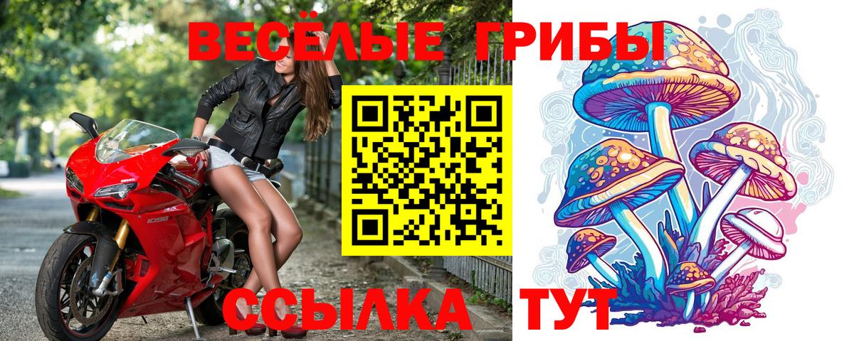 Галлюциногенные грибы Psilocybe  Вход с VPN  Курск 