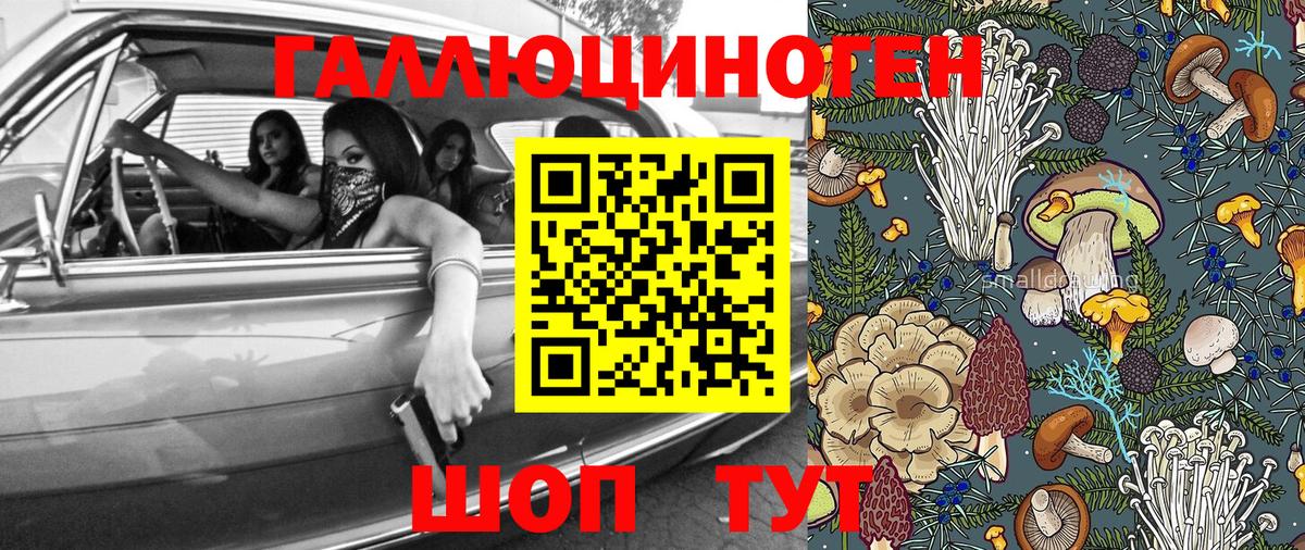 Галлюциногенные грибы Magic Shrooms  Курск  Псилоцибиновые грибы Psilocybine cubensis 