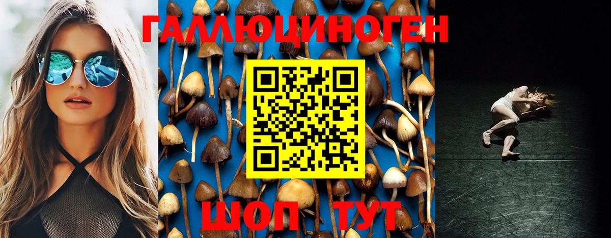 Галлюциногенные грибы прущие грибы Курск