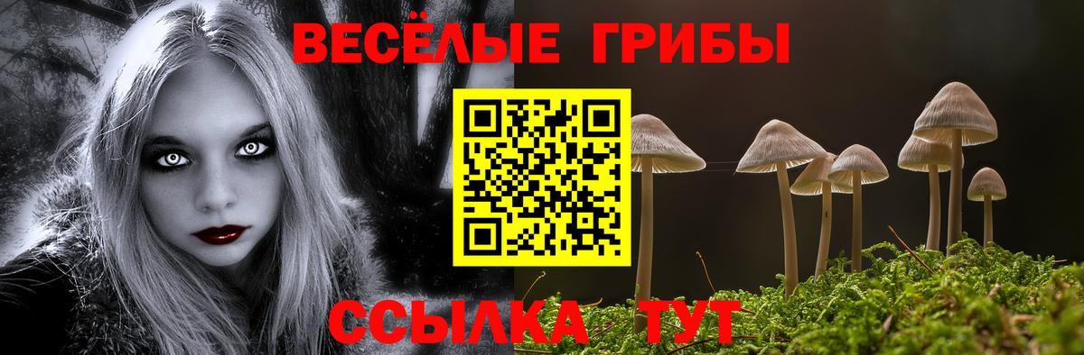 Псилоцибиновые грибы мицелий Курск