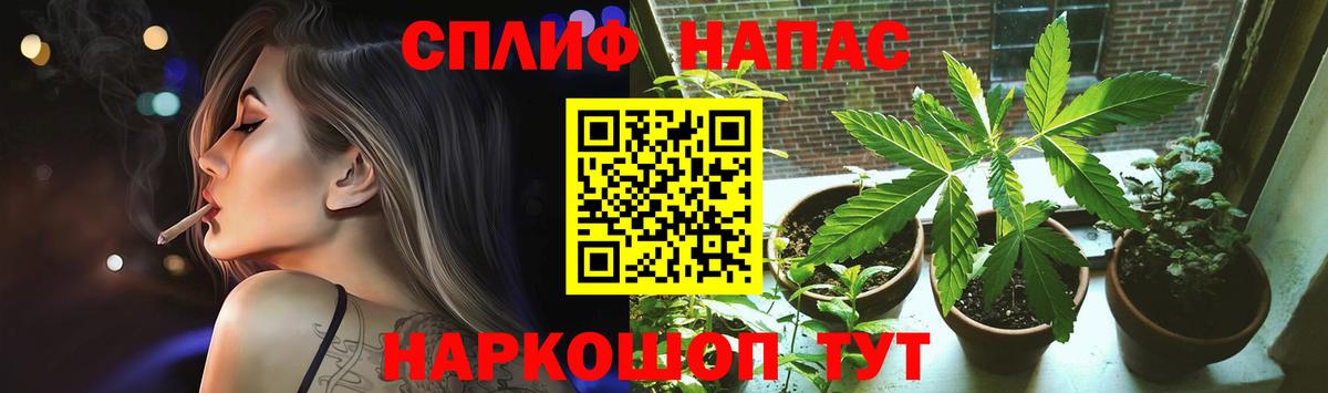 Курск  МАРИХУАНА сатива  Конопля Ganja  Вход с VPN  Бошки марихуана сатива 